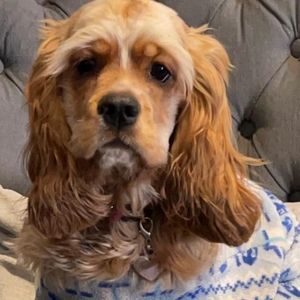 Meet your Posher, Judith